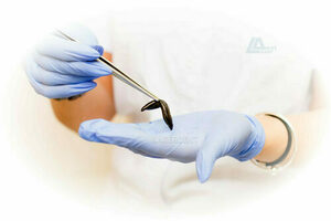 Гирудотерапия, гирудотерапевт 