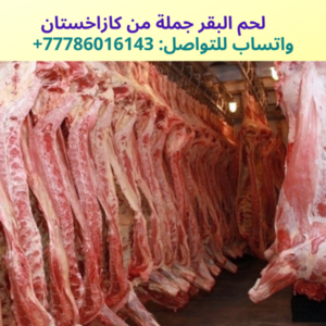 مؤسسة اللحوم من كازاخستان تبحث عن مشتريي الجملة في الخليج العربي 