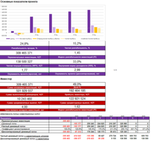 Бизнес план. Финансовая модель, Даму, ТЭО, инвестиционный проект