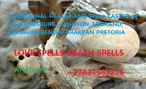 +27631585216 .OVERNIGHT DEATH SPELL CASTER / REVENGE SPELLS IN NEW YORK, BOSTON, NASHVILLE, AUSTIN, CHARLESTON, MADISON,