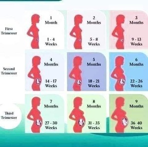 ABORTION PILLS FOR SALE IN BRONKHORSTSPRUIT+27 63 034 8600