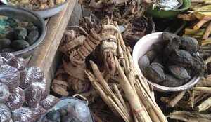 TRADITIONAL HEALER  [[+27764410726]] SANGOMA  in  South africa, SECUNDA, OGIES, KWAGGAFONITEN, ERMELO, BUSHBUCKRIDGE,HAZ