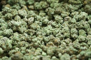 Medical Weed WhatsApp:+27656324620 Fast Pills