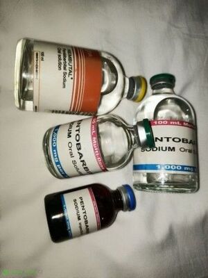 WhatsApp(+371 204 33160)Buy Nembutal Pentobarbital and Cyanide Poison,Buy Nembutal Sodium (pentobarbital sodium) Online