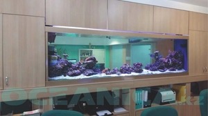 Декорирование аквариумов 