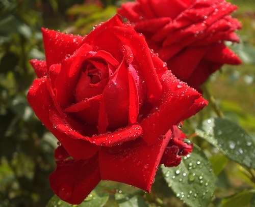 Контакты по интересам, нечастые встречи тайные свидания